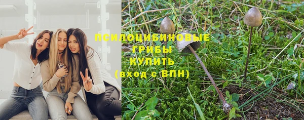 соль курить ск Богородицк