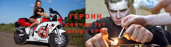 стаф Богданович