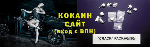 стаф Богданович