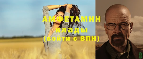 стаф Богданович