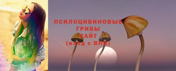 крисы Богородск