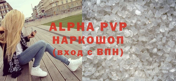 стаф Богданович