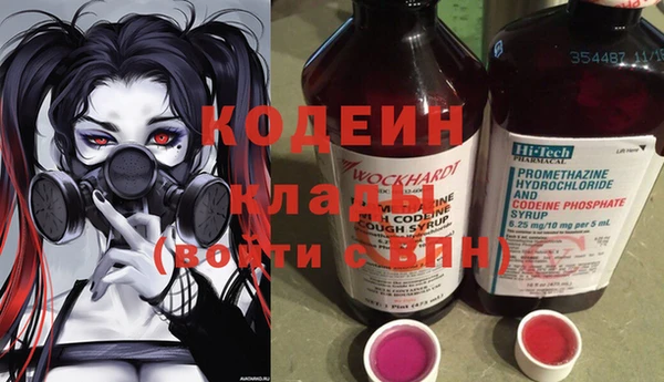 крисы Богородск