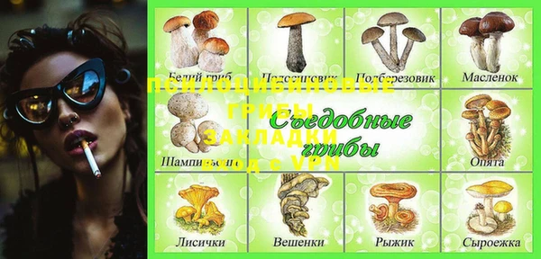 соль курить ск Богородицк