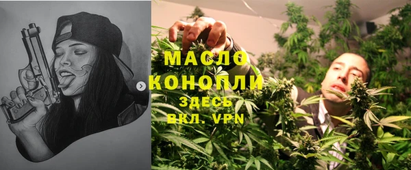 стаф Богданович